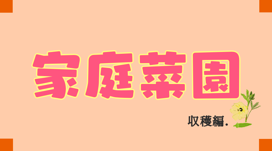 【趣味】家庭菜園、収穫してみた