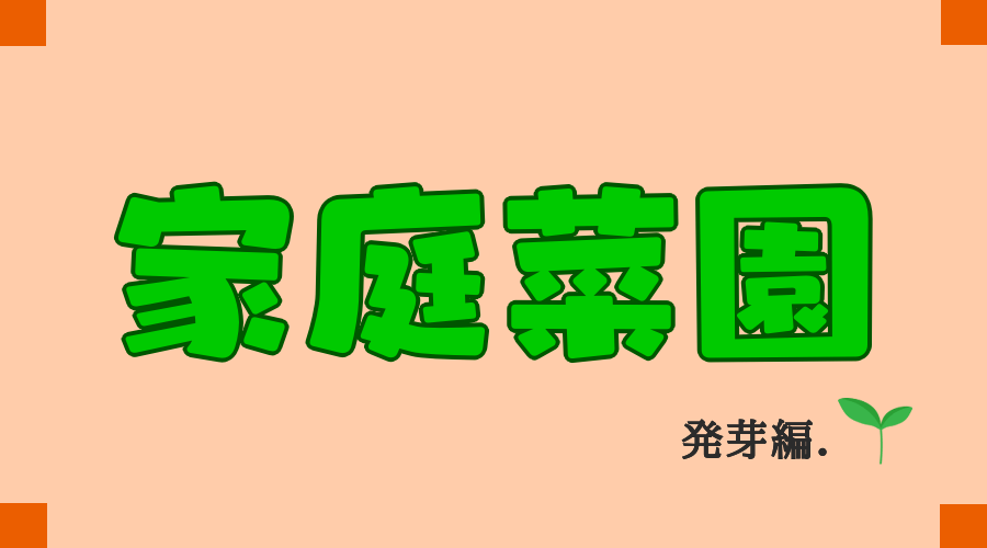 【趣味】家庭菜園やってみる ～発芽編～